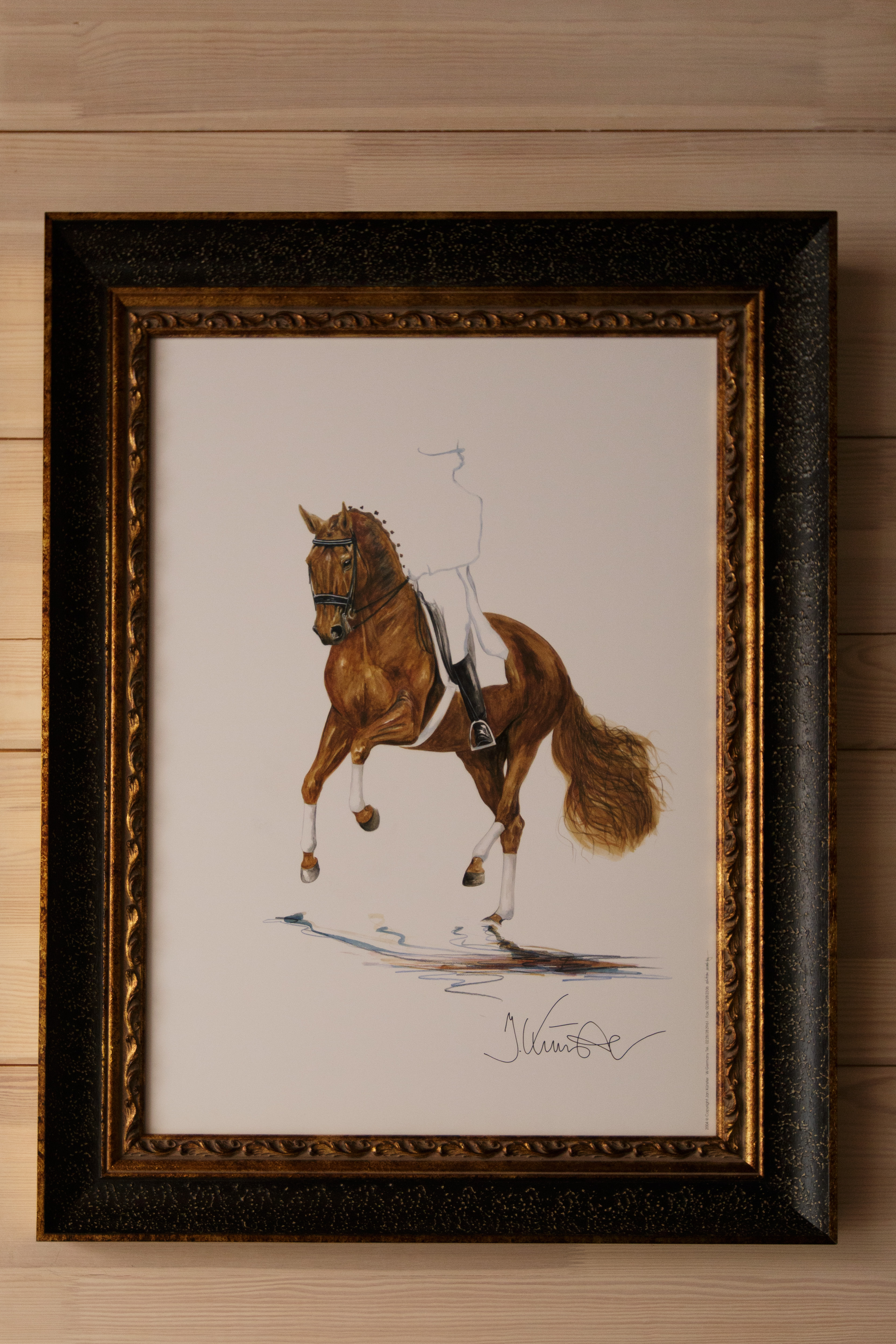 Катание на лошадях